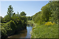 Sankey Brook from the footbridge