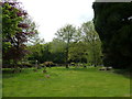 St. John the Baptist, Spetisbury: churchyard (3)