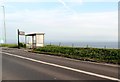 Bus shelter, A259 at Saltdean