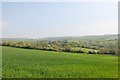 View north east from above Ford