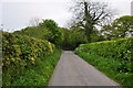 North Devon : Country Road