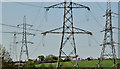 Pylons and power lines near Hillsborough (4)