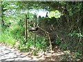 Stile on the Walk Around Oakamoor