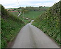 Winding lane to Cleobury Mortimer