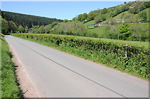 SO2724 : Road in Grwyne valley by Philip Halling