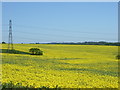 Farmland near Ashby Folville