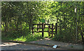 Pedestrian entrance to Norsey Wood