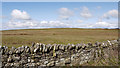 NY9277 : Moorland on west side of A68 by Trevor Littlewood