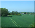 Farmland towards Brook Farm