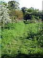 Path towards Queens Oak