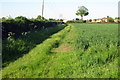 Path along the field edge into Potterspury