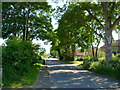 Welcome shade on a hot day, Frampton on Severn