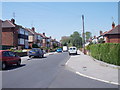 Cross Heath Grove - viewed from Heath Grove