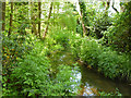 Stream west of Station Lane bridge