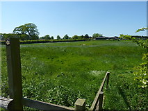 SJ8223 : The footpath from Knightley Green Farm by Richard Law