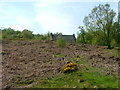 Derelict house by the Tarvie road