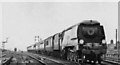 TQ2386 : SR Bulleid 4-6-2 in 1948 Exchanges on Manchester - St Pancras express at Cricklewood by Ben Brooksbank