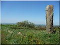 Guide stone at the footpath junction, by the Casey