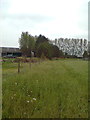 Looking back at Lodge Farm, on the path to the Stour valley