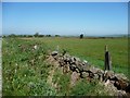 Drystone wall made effective with barbed wire