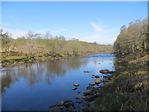 NC4603 : River Cassley by John Ferguson
