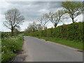 Country Lane, heading towards Ovington