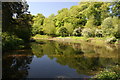 Mill pond at Quarry Bank Mill