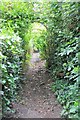 Footpath, Battledown Estate