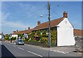 Cottages and Pub at Westonzoyland