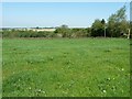 Farmland west of Park Lane