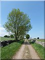 Track to Holmelacy Farm