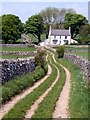 Limestone Way above Monk