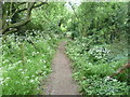 Footpath at New Barn