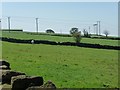 Power lines west of Blakeley Farm