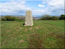 TV5898 : Trig Point above Eastbourne by Chris Heaton