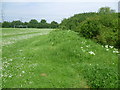 Edge of recreation ground at Istead Rise