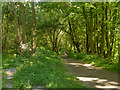 Footpath at Ringley