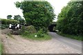 Cows waiting at gate next to Ford Street