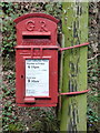 Frogham: postbox № SP6 349