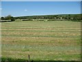 SK0154 : Just mown hay fields, with the A523 beyond by Christine Johnstone