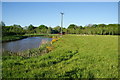 Pond and sheep near New House