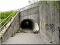 SJ8590 : Tunnel Under Parrs Wood Road by Gerald England