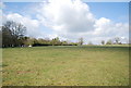 Farmland by Rookery Wood