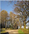 Footpath past Tanpit Wood