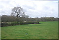 Farmland by the A262