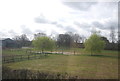 Dried pond, High Chimney Farm