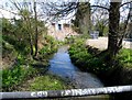 Botany Stream downstream