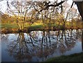 River Nidd near Birstwith