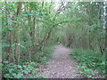 Footpath from Riddings to Pinxton