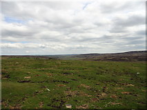 NY9847 : View east across the moor by Robert Graham